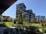 Daylight samples, main camera (1x), 24MP - f/1.8, ISO 80, 1/2907s - Apple Iphone 17 Pro Max review