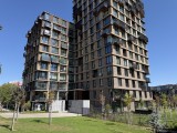 Daylight samples, main camera (1x), 12MP - f/1.8, ISO 80, 1/2611s - Apple Iphone 17 Pro Max review