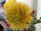 Apple iPhone 17: 12MP ultrawide camera macro samples - f/2.2, ISO 320, 1/88s - Apple iPhone 17 review