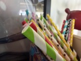 Apple iPhone 17: 12MP ultrawide camera macro samples - f/2.2, ISO 320, 1/60s - Apple iPhone 17 review