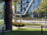 Daylight samples, telephoto camera (4x), 48MP - f/2.8, ISO 50, 1/431s - Apple Iphone 17 Pro Max review