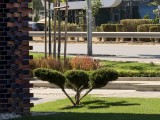 Daylight samples, telephoto camera (8x) - f/2.8, ISO 40, 1/521s - Apple Iphone 17 Pro Max review