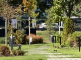 Daylight samples, telephoto camera (8x) - f/2.8, ISO 50, 1/455s - Apple Iphone 17 Pro Max review