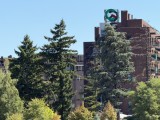Daylight samples, telephoto camera (8x) - f/2.8, ISO 40, 1/631s - Apple Iphone 17 Pro Max review