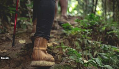 Studies have shown that consistent physical activity is closely linked to increased life expectancy, climb