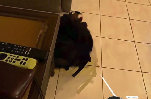 horizon hyperscape capture artifacts