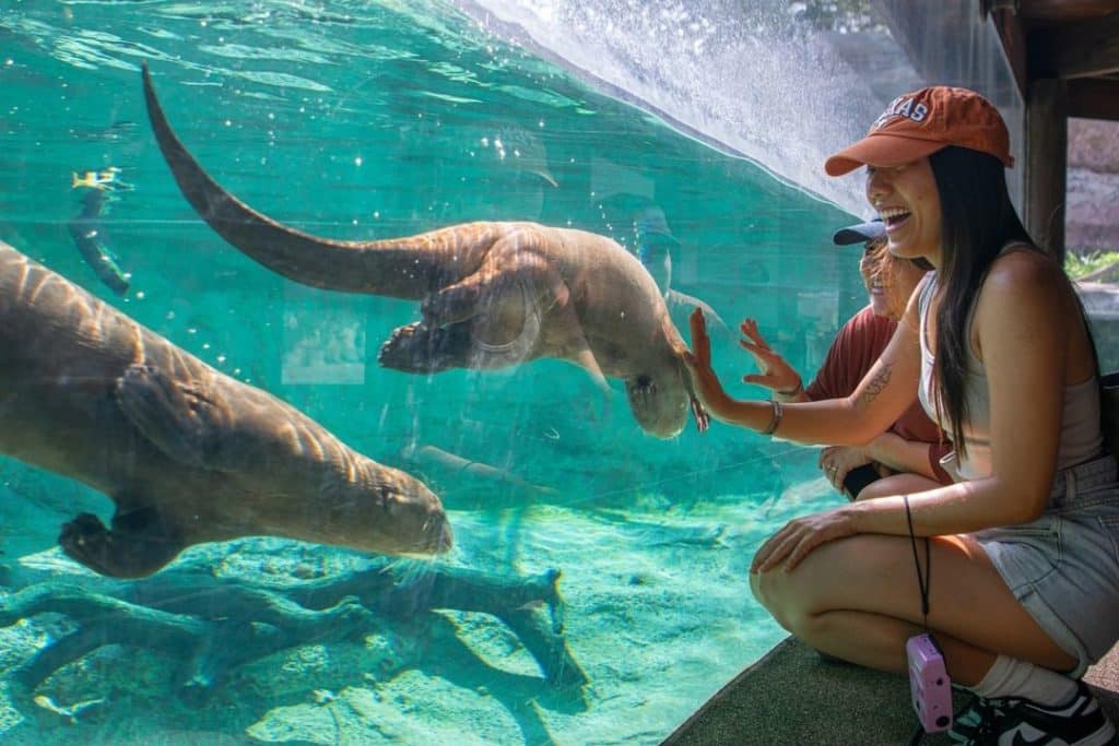 Image shows two people sitting at the glass of the Houston Zoo aquarium.