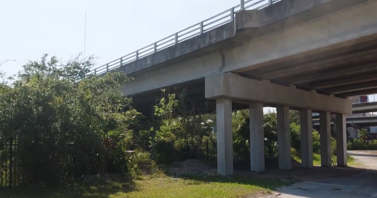 JSO – Action News Jax
