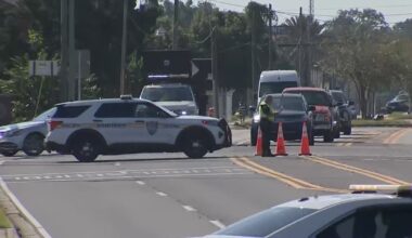 Man killed in hit and run in Jacksonville on Lem Turner Road – Action News Jax