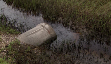 Black Hammock Island homeowners report persistent flooding, drainage issues – 104.5 WOKV