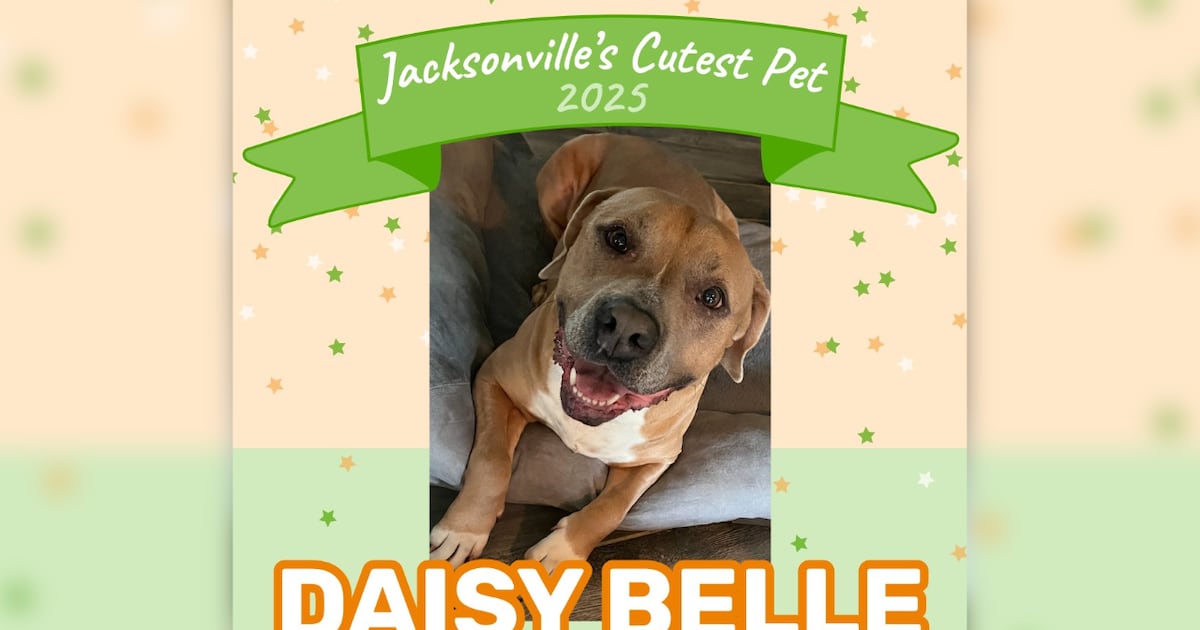 Second comic book shop dog named Jacksonville’s Cutest Pet – 104.5 WOKV