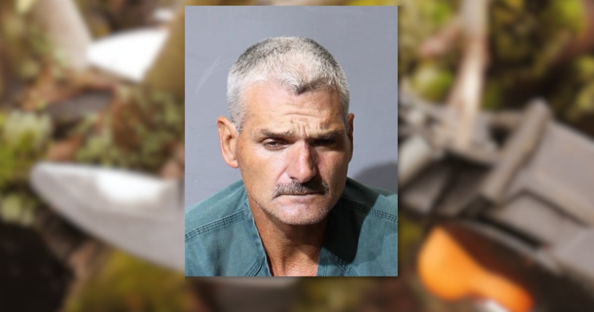 Local tree trimmer with lengthy rap sheet back behind bars – Action News Jax