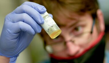 University of Utah approves $50M A.I. project to speed up cancer research