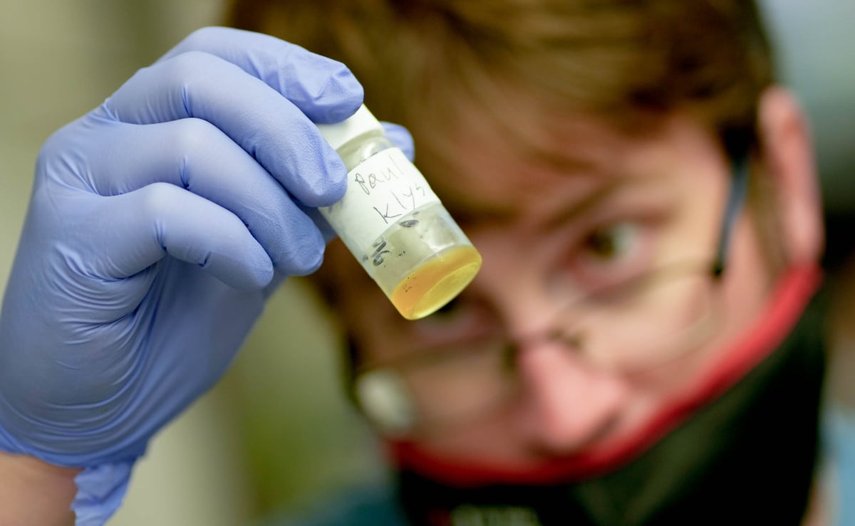 University of Utah approves $50M A.I. project to speed up cancer research