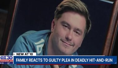 Man pleads guilty in 2024 hit-and-run that killed good Samaritan Gavin Carter – Action News Jax