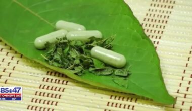Florida Attorney General, Agriculture Commissioner team up to crack down on ‘gas station morphine’ – 104.5 WOKV