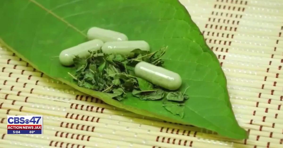 Florida Attorney General, Agriculture Commissioner team up to crack down on ‘gas station morphine’ – 104.5 WOKV