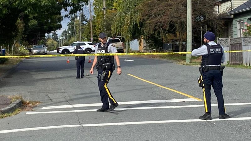 ‘Targeted incident:’ dog shot dead on central Nanaimo street | NanaimoNewsNOW