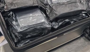 American plane passenger allegedly had 20kg of coke packed in her suitcase