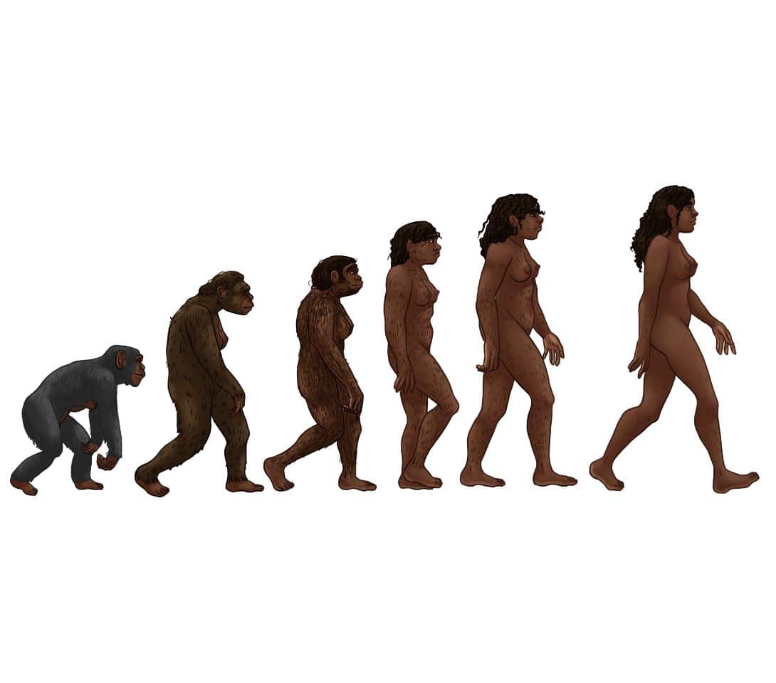 Culture, not genetics, may now lead human evolution