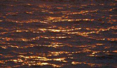 20 million tons of gold lies in Earth's oceans — But don’t expect it to be mined anytime soon