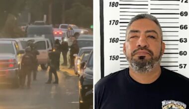 San Diego home day care shuts down after ICE arrests sex offender – NBC 7 San Diego