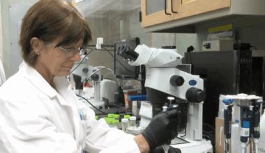 UH research finds missing Y gene linked to male infertility : Maui Now