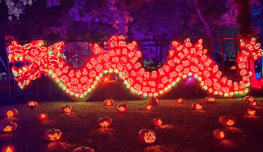 Jack O’ Lantern World announces second location in Chicago area – NBC Chicago