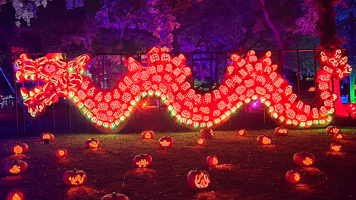 Jack O’ Lantern World announces second location in Chicago area – NBC Chicago