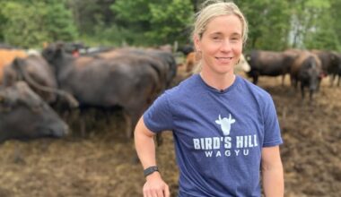 This N.B. farmer's got beef that she can't ship to customers who want it