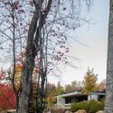 The House of la Baie de l’Ours / ACDF Architecture - Image 2 of 32