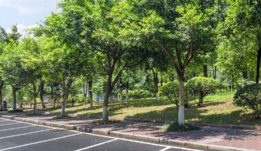 Jacksonville Planning Commission endorses revisions to parking, landscaping regulations