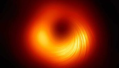 M87's Central Black Hole In Polarized Light By The Eht Nasa