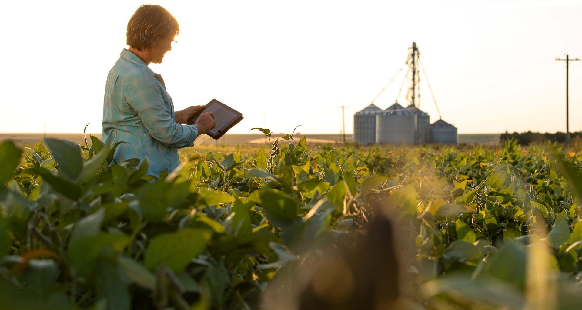 Trump Is Annihilating America’s Soybean Farmers and Betraying Them for Argentina