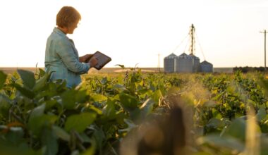 Trump Is Annihilating America’s Soybean Farmers and Betraying Them for Argentina
