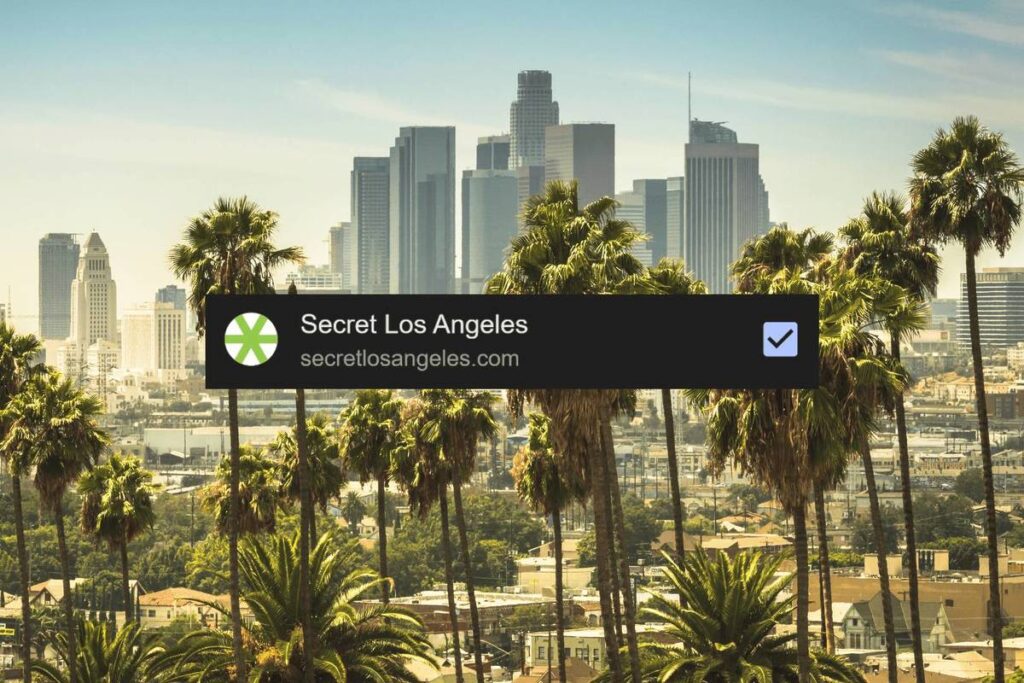 Los Angeles skyline and palm trees