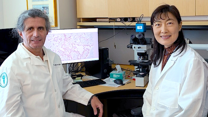 carbone and yang sitting in the office