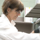 Missing Y gene linked to male infertility