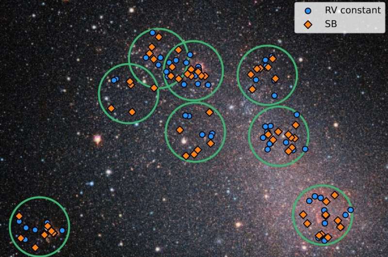Massive star in metal-poor environment often have close partner