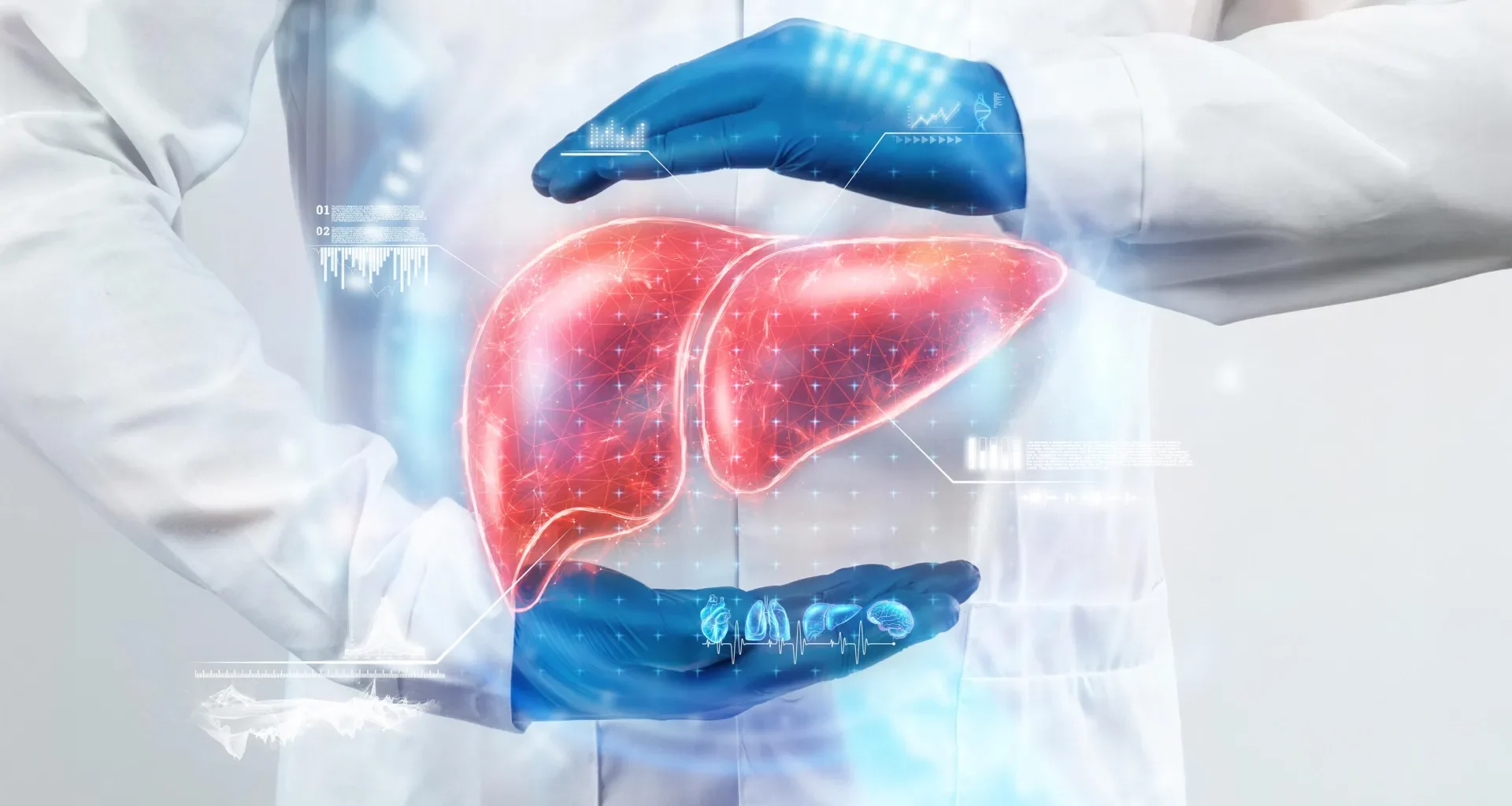 Fatty liver breakthrough: A safe, cheap vitamin shows promise