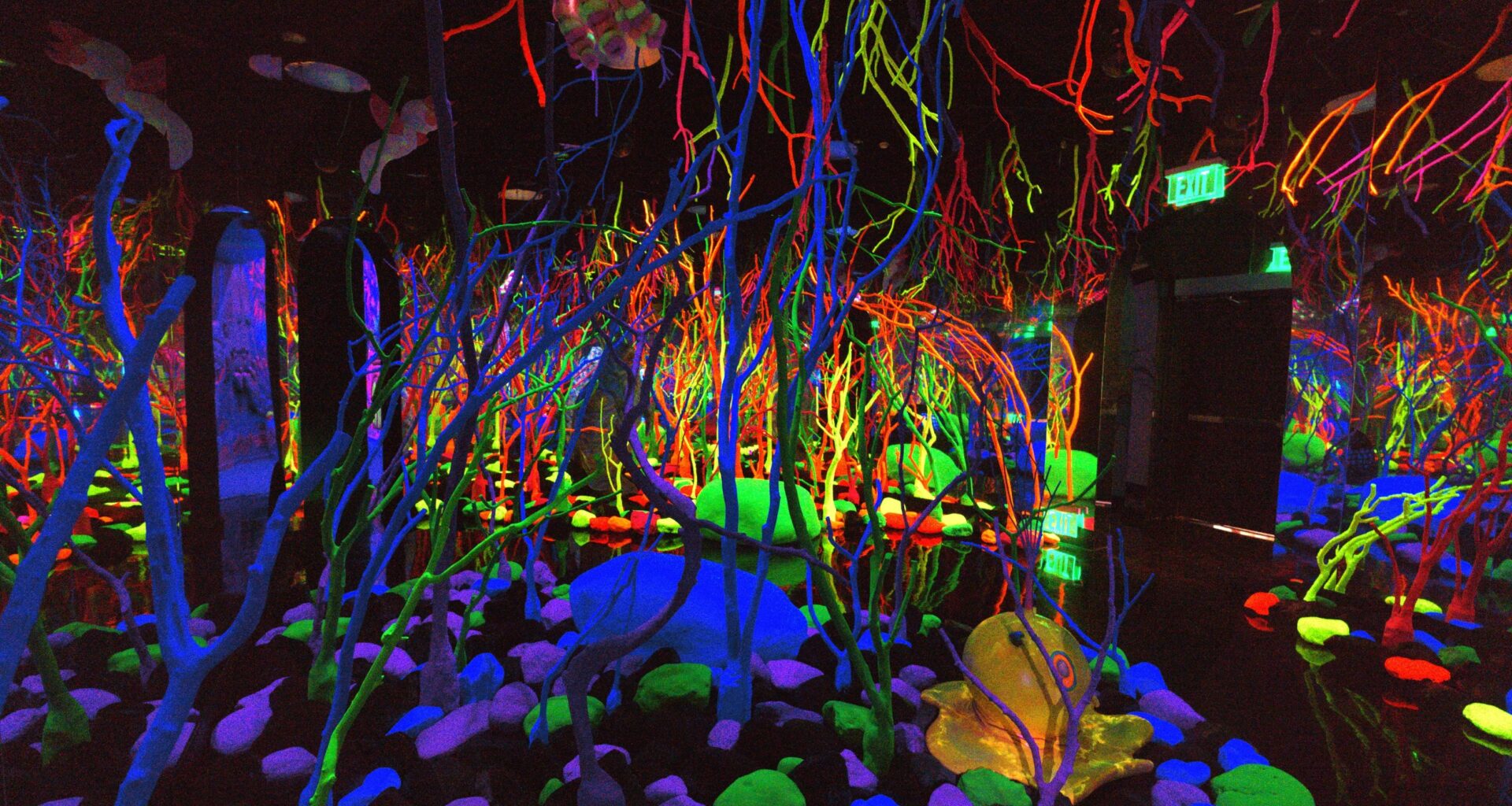 Immersive Art Experiences Continue to Grow in Dallas
