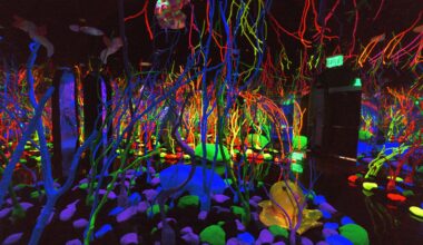 Immersive Art Experiences Continue to Grow in Dallas