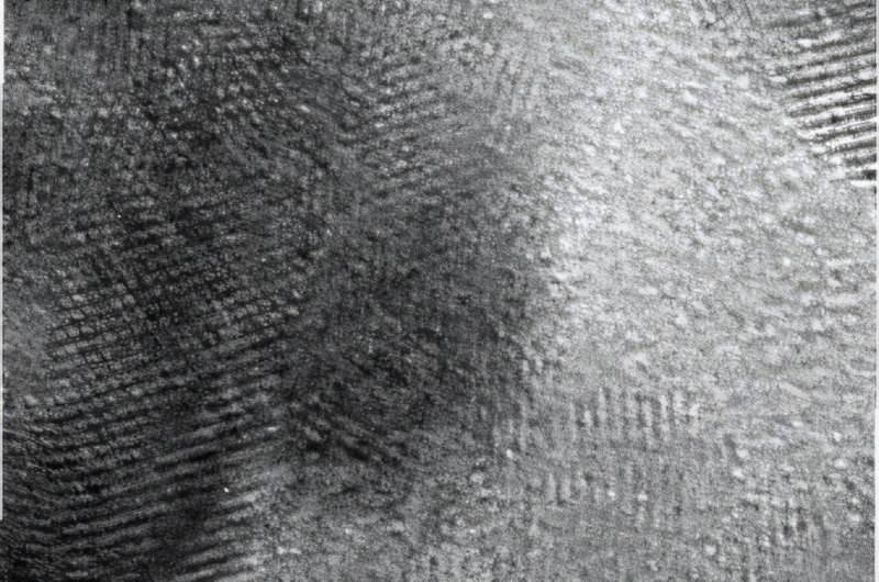 This transmission electron microscope image of gold was taken while the specimen was chilled to 31 kelvin using the new specimen holder. The bumps represent individual gold atoms within the larger piece of metal. Credit: Hovden Lab, University of Michigan Microscopes can now watch materials go quantum with liquid helium