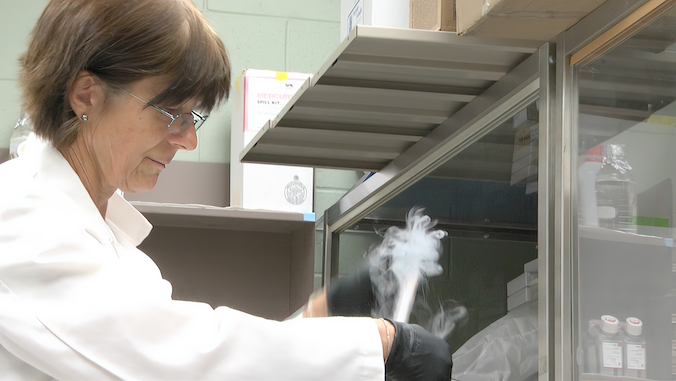 ward in the lab