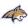 Montana St. Logo