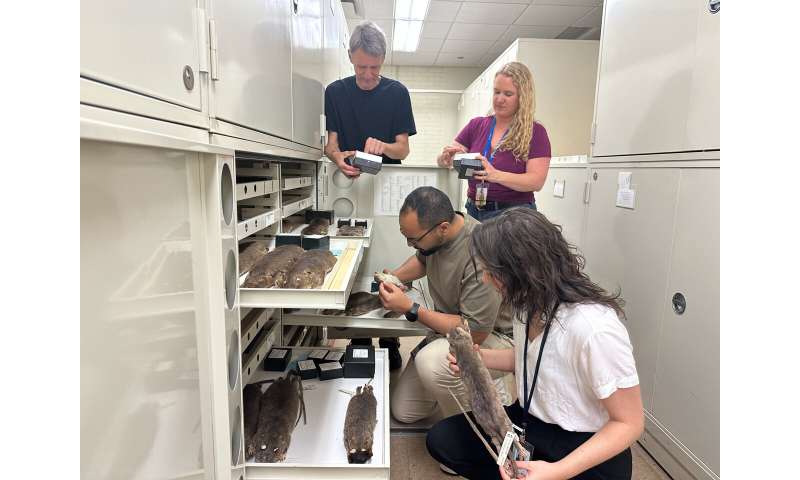 Most rodents have thumbnails instead of claws. It might help explain how they took over the world.