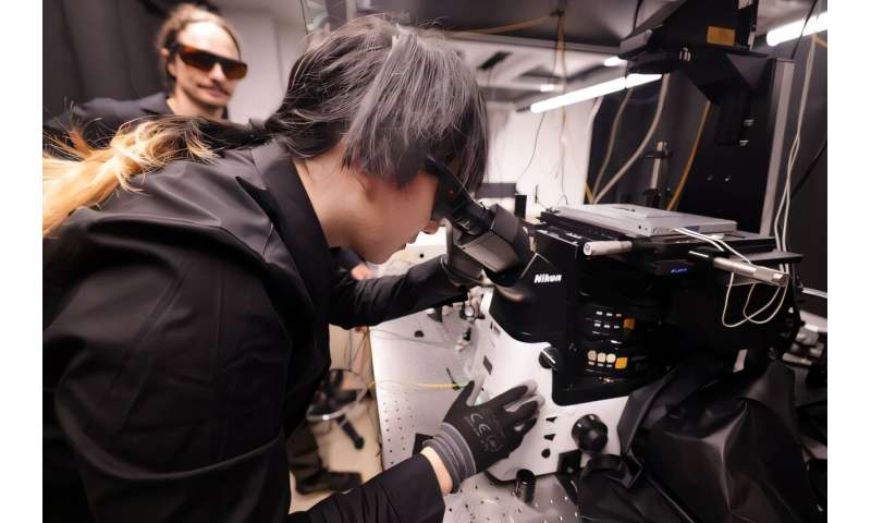 Nano-switch achieves first directed, gated flow of chargeless quantum information carriers