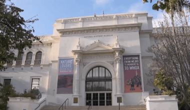 Half price admission at San Diego Natural History Museum during construction – NBC 7 San Diego