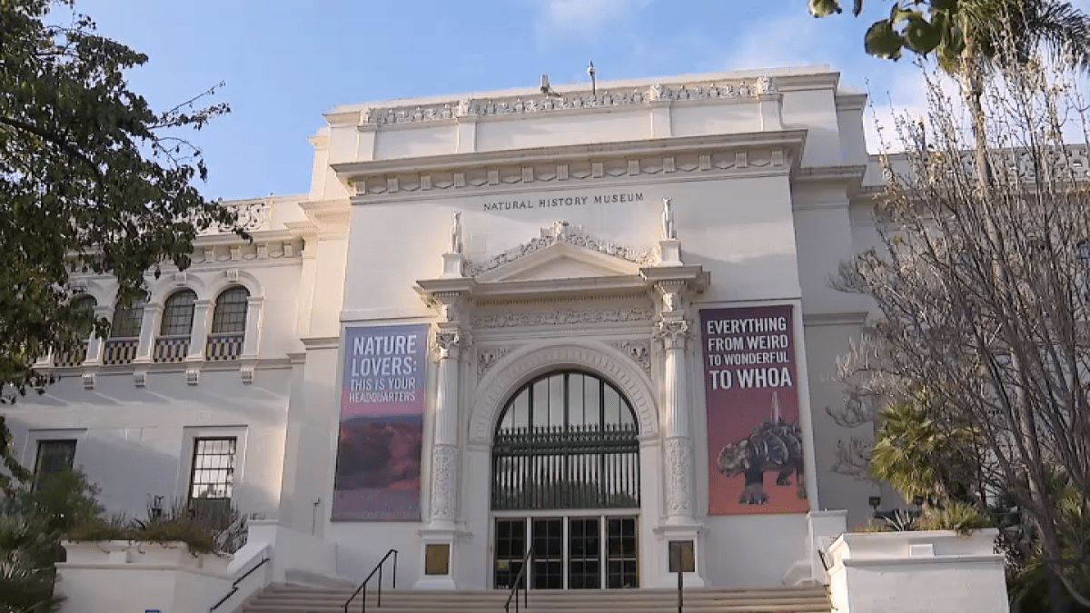 Half price admission at San Diego Natural History Museum during construction – NBC 7 San Diego