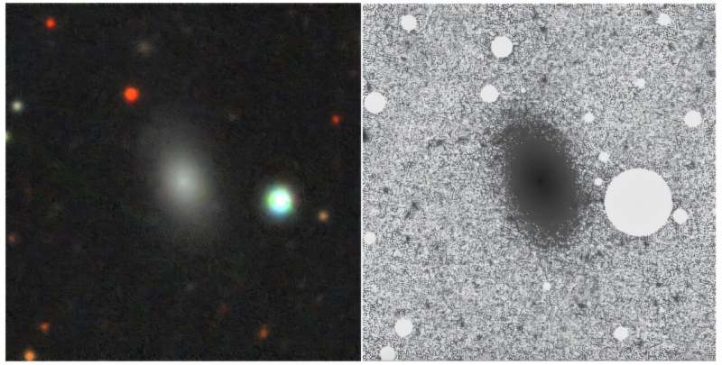 New isolated early-type dwarf galaxy discovered